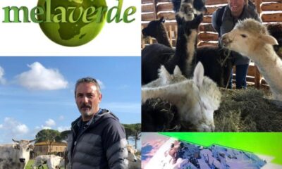 Melaverde 22 gennaio