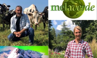 Melaverde 29 gennaio