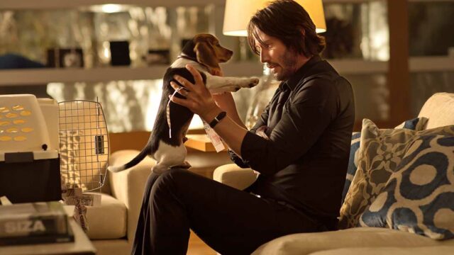 Stasera in tv venerdì 17 febbraio 2023 john wick