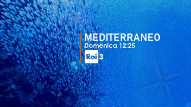 TGR Mediterraneo 1993-2023 conferenza stampa