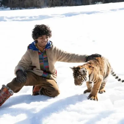 Il ragazzo e la tigre film Prime Video