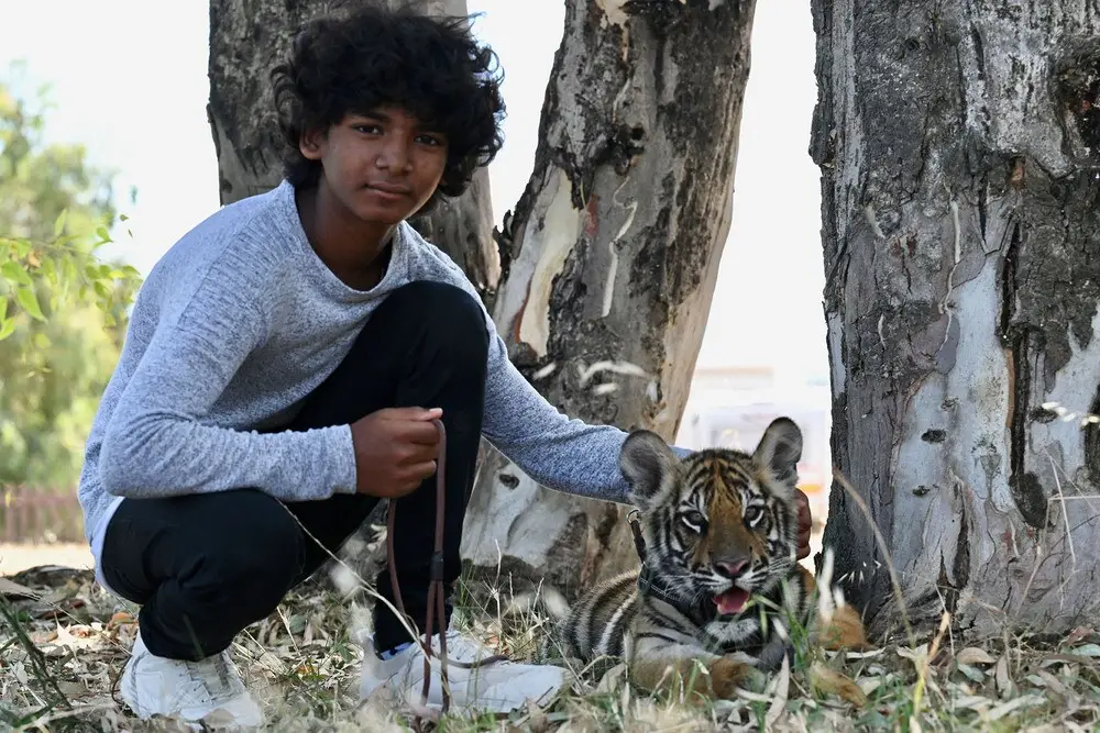 Il ragazzo e la tigre film dove è girato