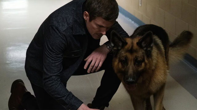 Hudson e Rex Il buono il cattivo e Rex cast