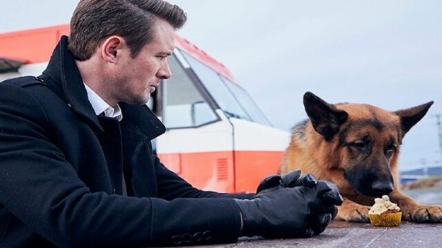 Hudson e Rex Il buono il cattivo e Rex trama