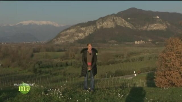 Melaverde 2 giugno Veneto