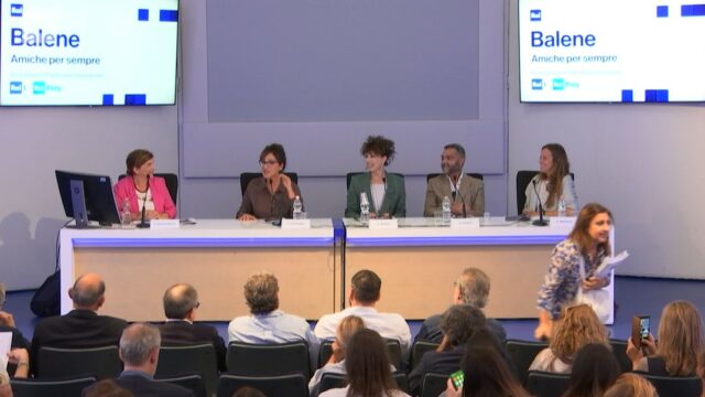 Balene Amiche per sempre conferenza stampa trama