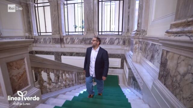 Linea Verde 14 dicembre olio extravergine di oliva Linea Verde 14 dicembre olio extravergine di oliva