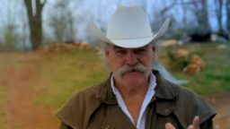 Vado a vivere nel bosco 13 storie