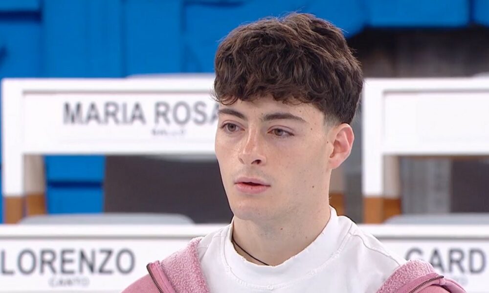 Amici 25 novità cast