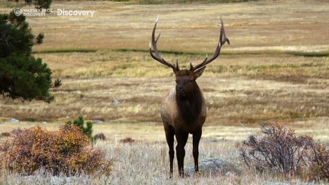 Giustizia Selvaggia Discovery dipartimento Washington Giustizia Selvaggia Discovery dipartimento Washington