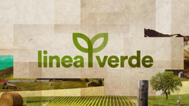 Linea Verde 24 maggio Val di Fiemme Linea Verde 24 maggio Val di Fiemme
